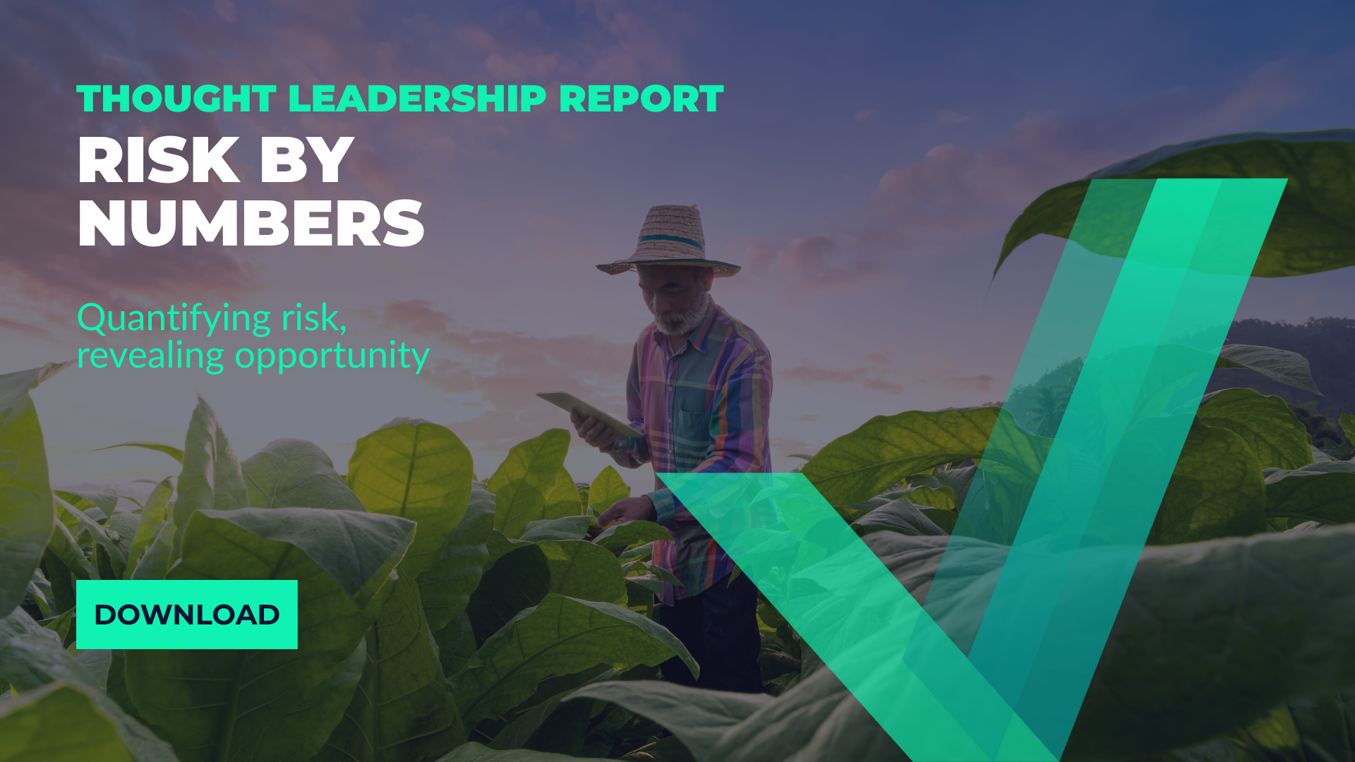 Risk by numbers report image